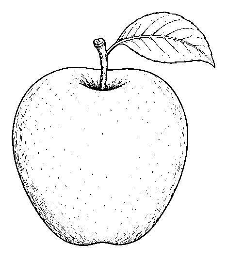 apple