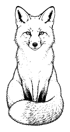 fox