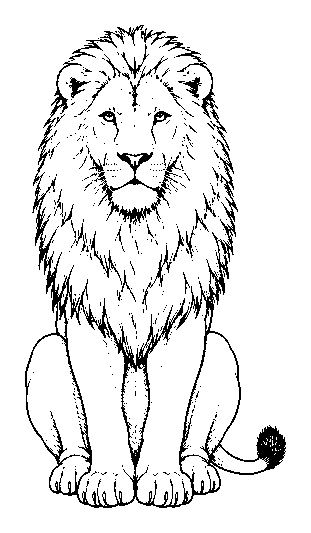 lion