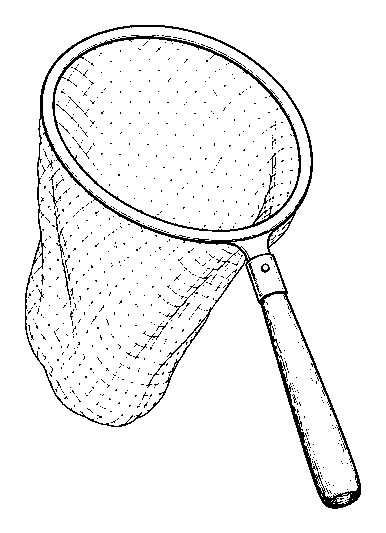net