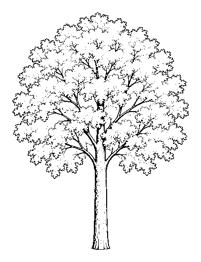 tree