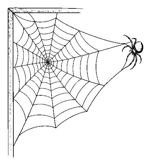 web