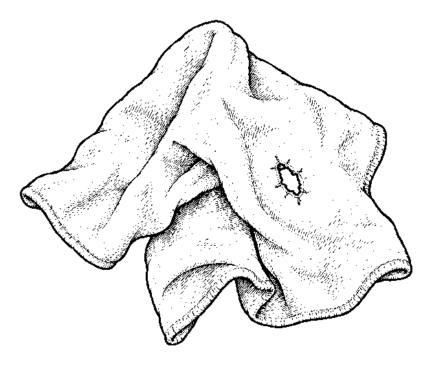 rag