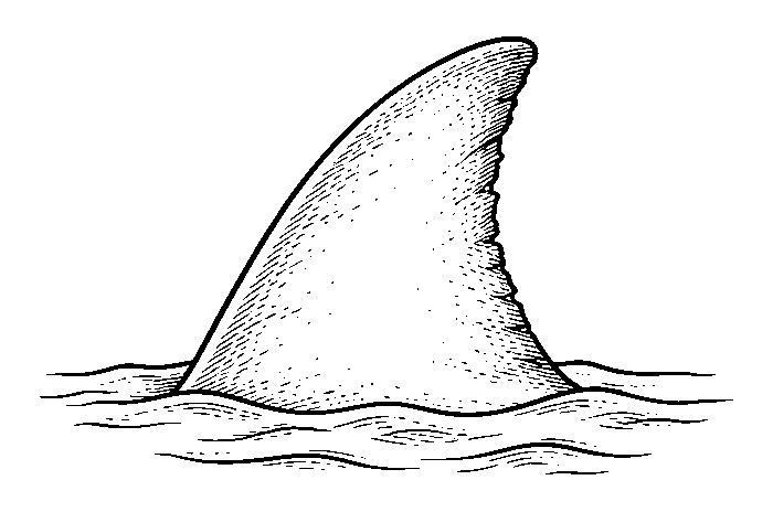 fin