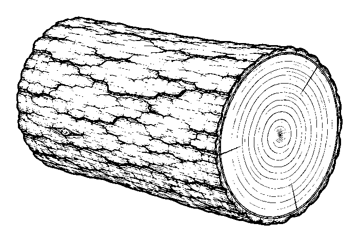 log