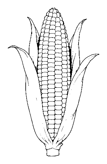 cob