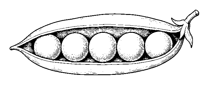 pod