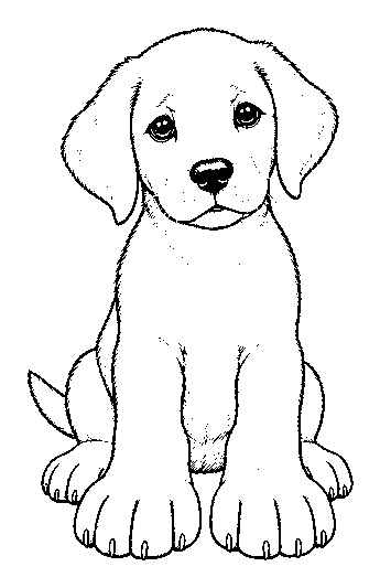 pup