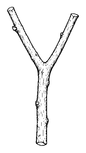 stick