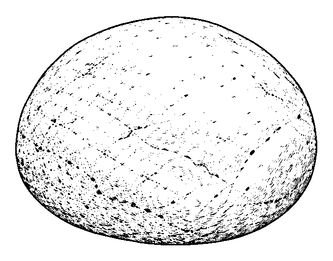 rock