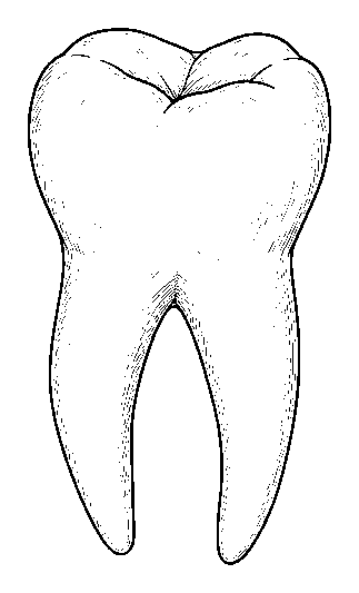 tooth