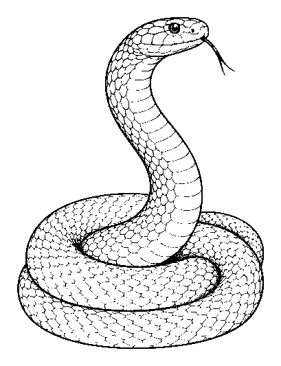 snake