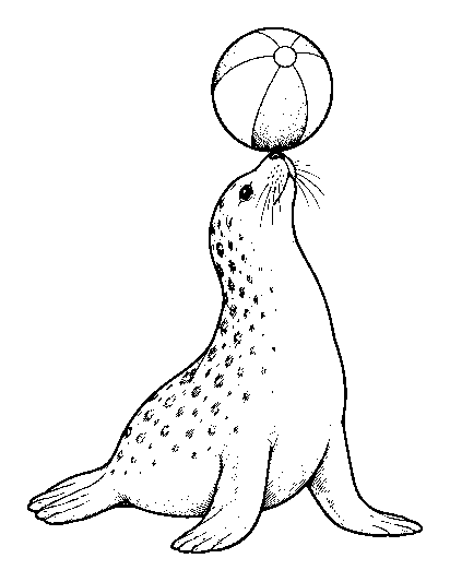 seal