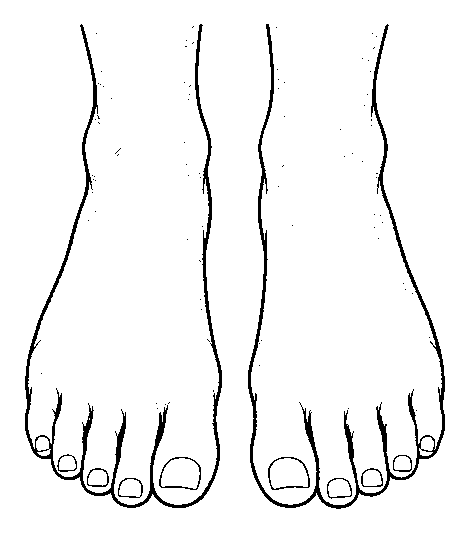 feet