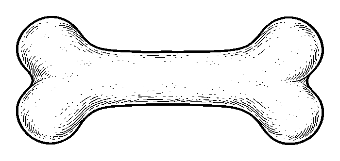 bone