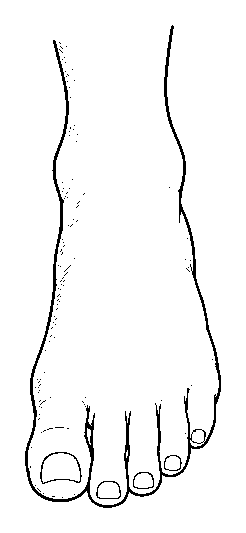 foot