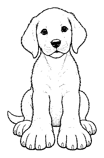 puppy