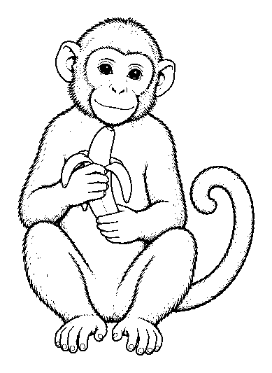 monkey