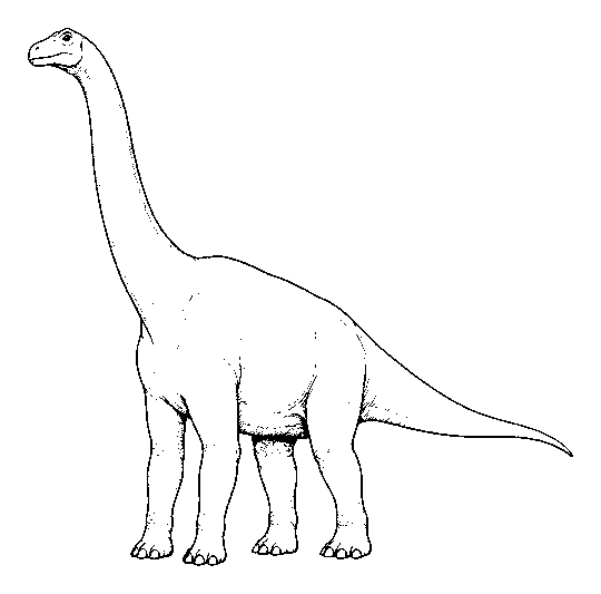 dinosaur