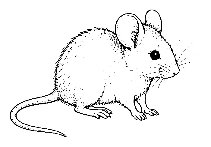 small
