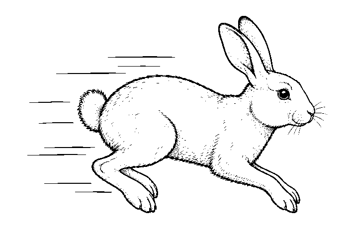 fast