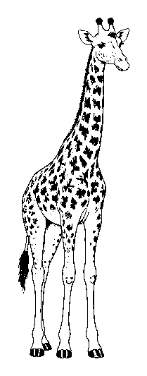 tall