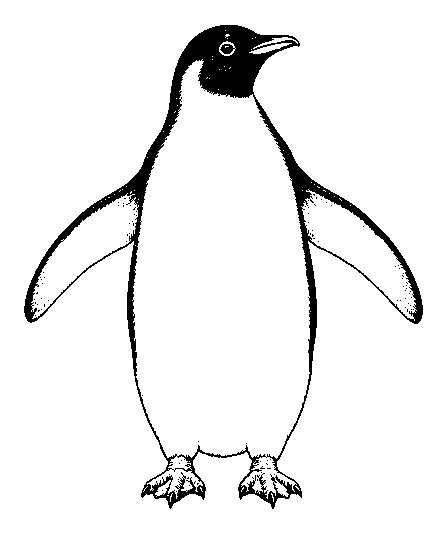 penguin