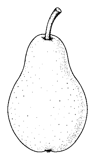 pear