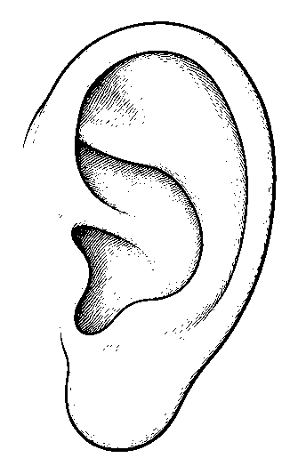 ear