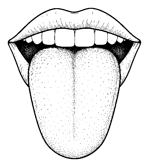 tongue