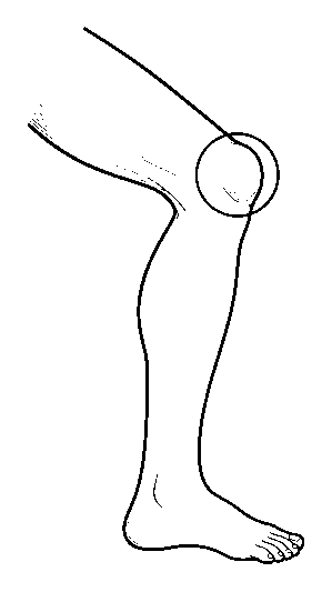 knee