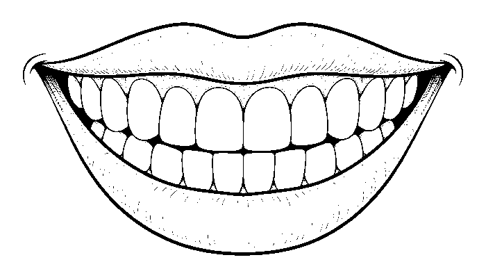 brushing teeth, step 4