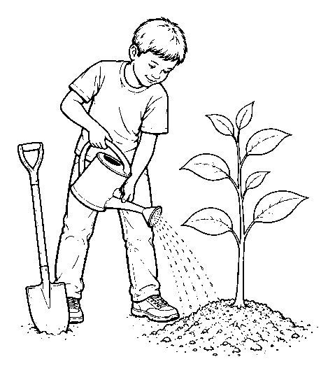 planting a tree, step 3