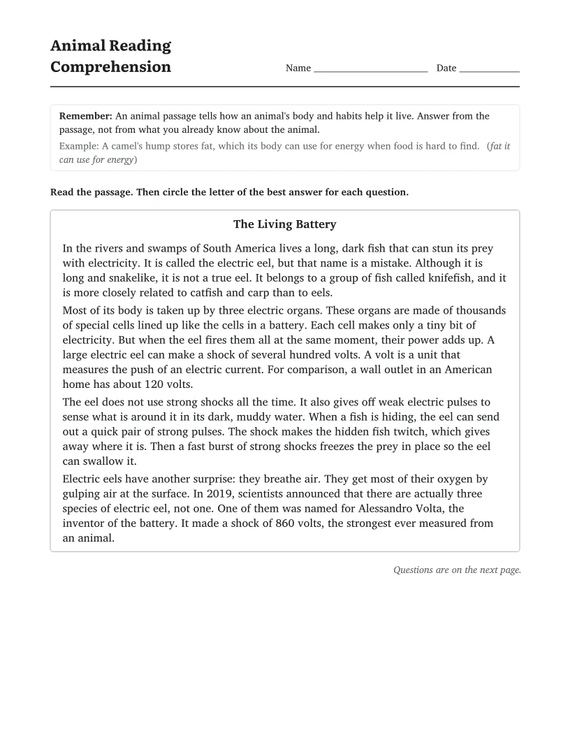 Animal Reading Comprehension worksheet for 4th Grade